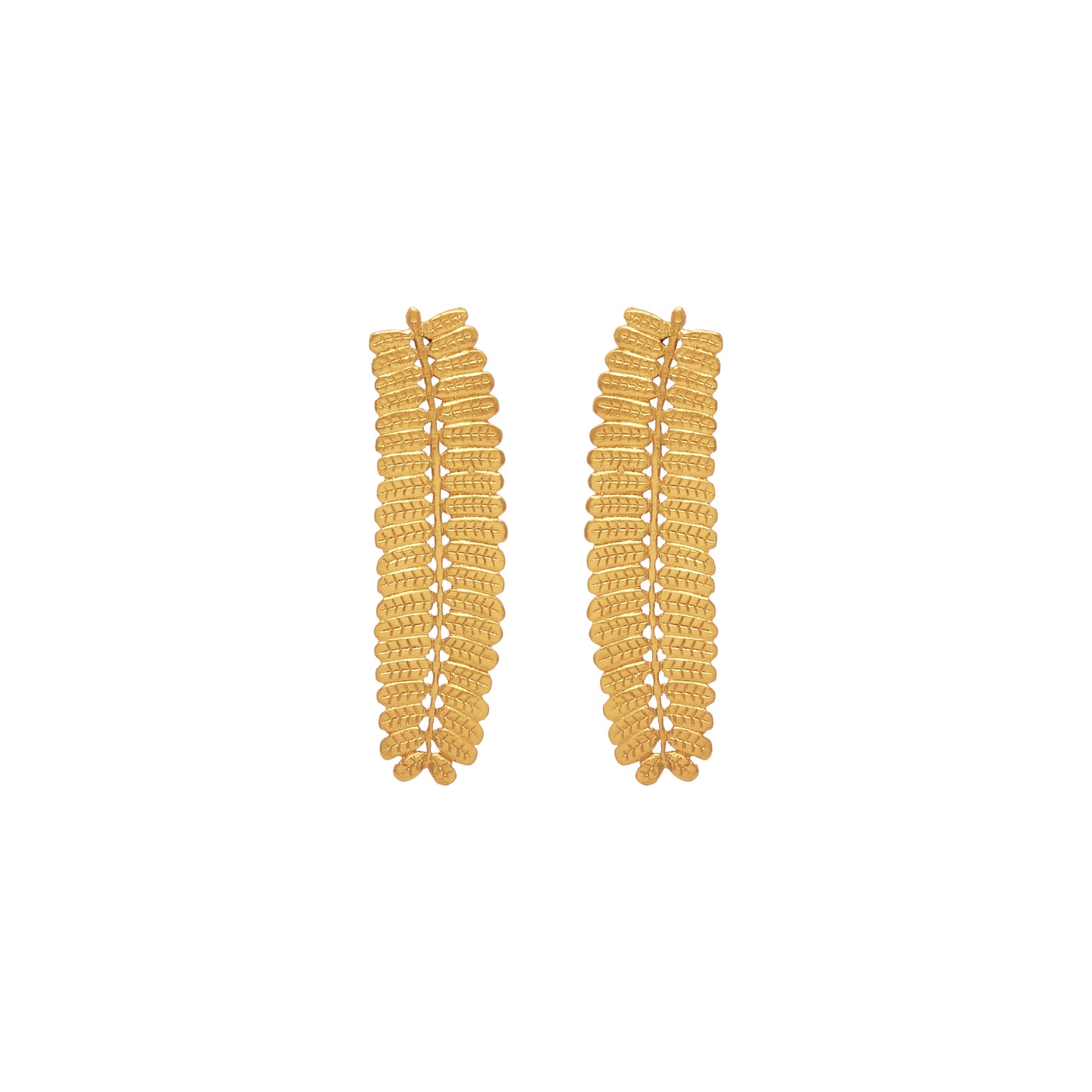 Aretes Grandes Hoja Dividivi - Brillo Guajiro Dorado