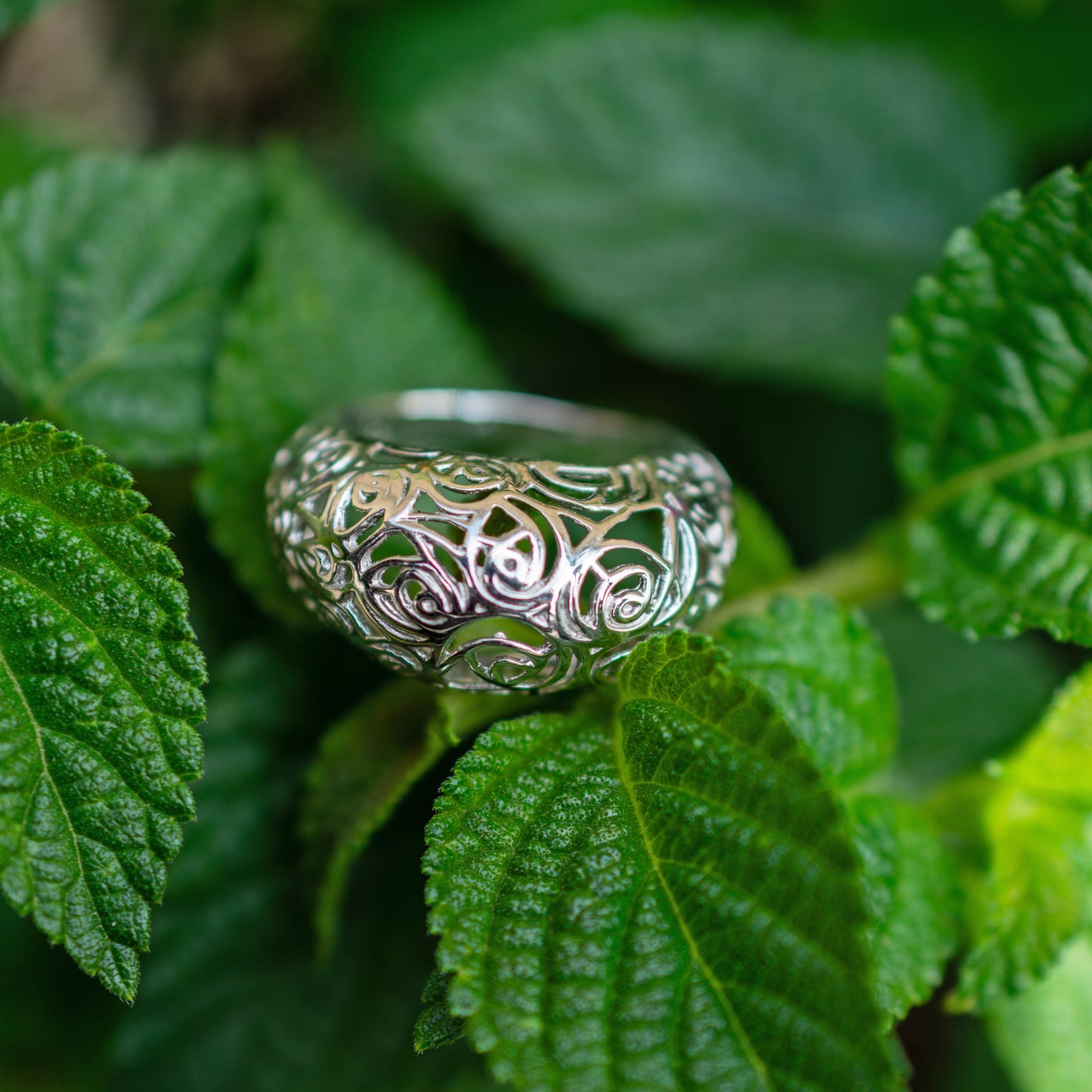 Anillo Cúpula de Rosas