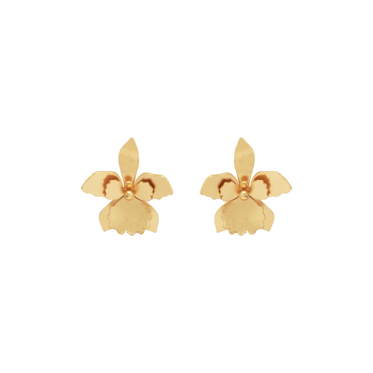 Aretes Quadricolor