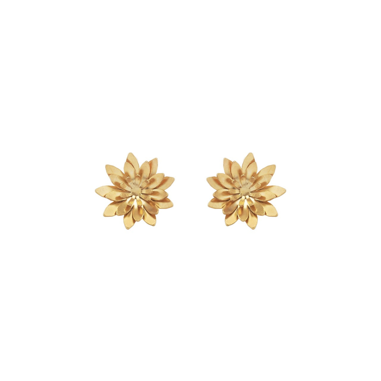 Aretes Loto