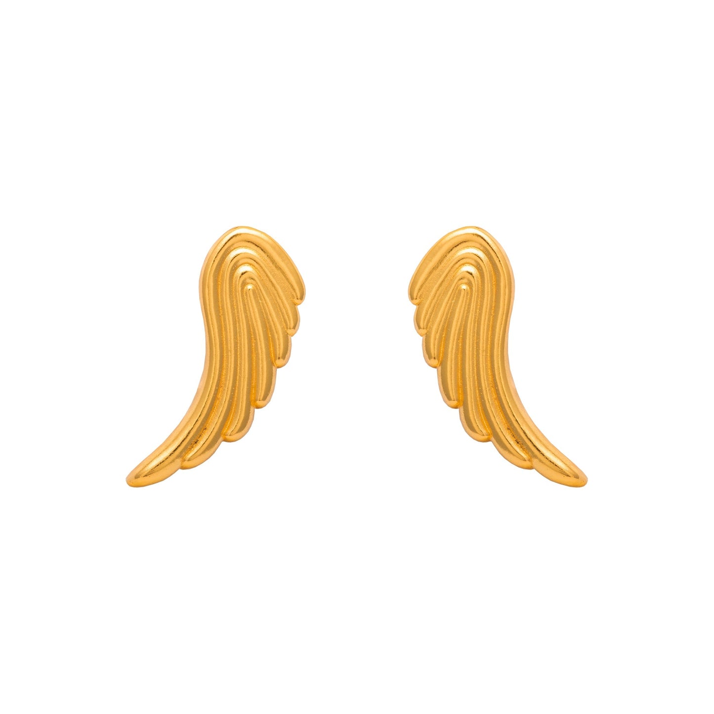 Aretes Alas Renacer Grande