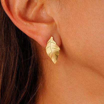 Arete Topo Hoja Eden Mediana
