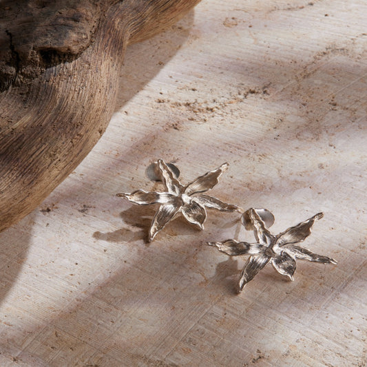 Arete Topo Orquídea Cecilita