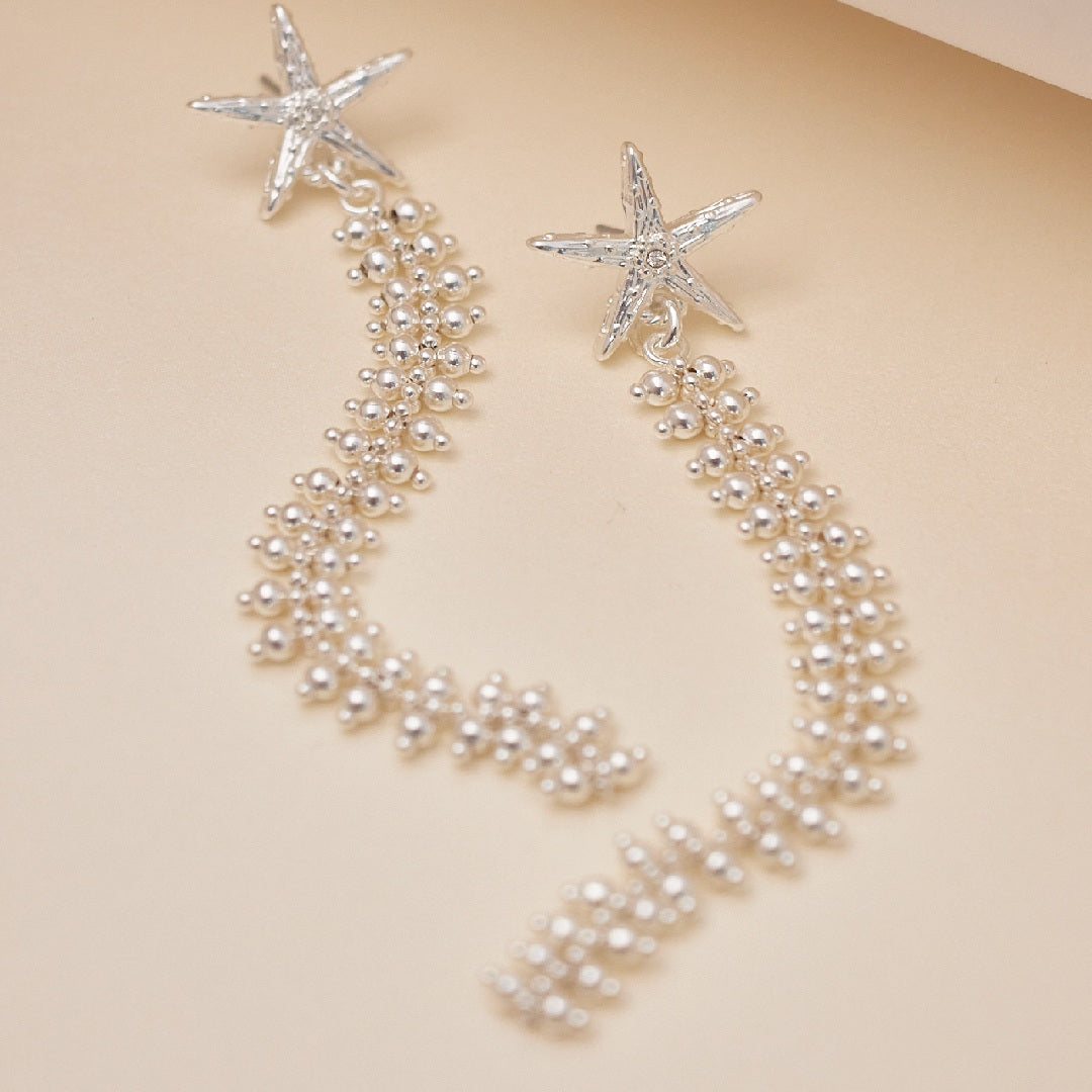 Aretes Copo de Nieve Plata