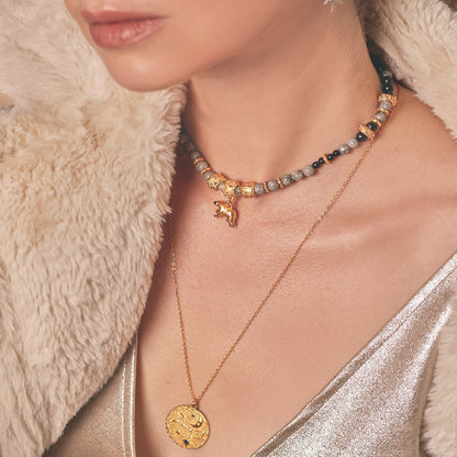 SeT X2 Collares Osa Mayor