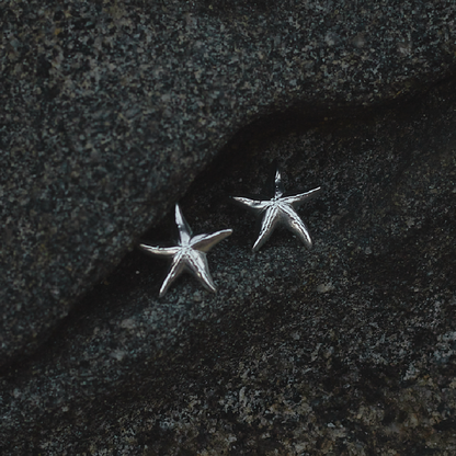 Aretes Estrella de Mar Plata