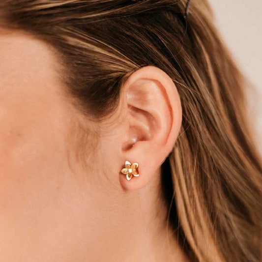 Aretes Mini Flor Guayacan
