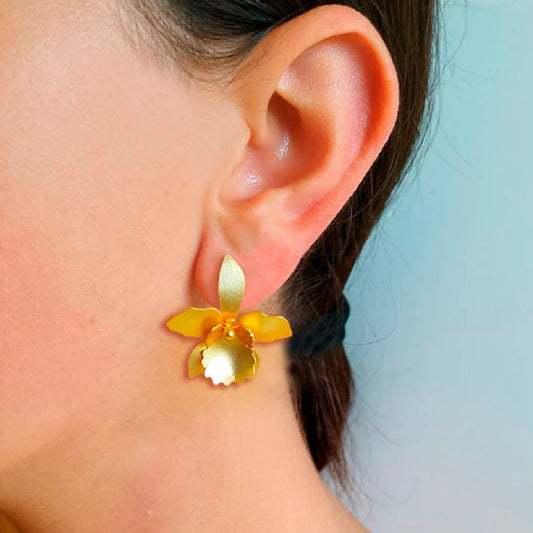 Aretes Quadricolor