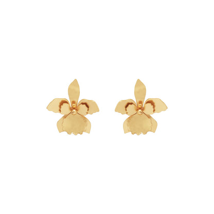 Aretes Quadricolor