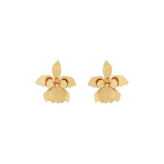 Aretes Quadricolor