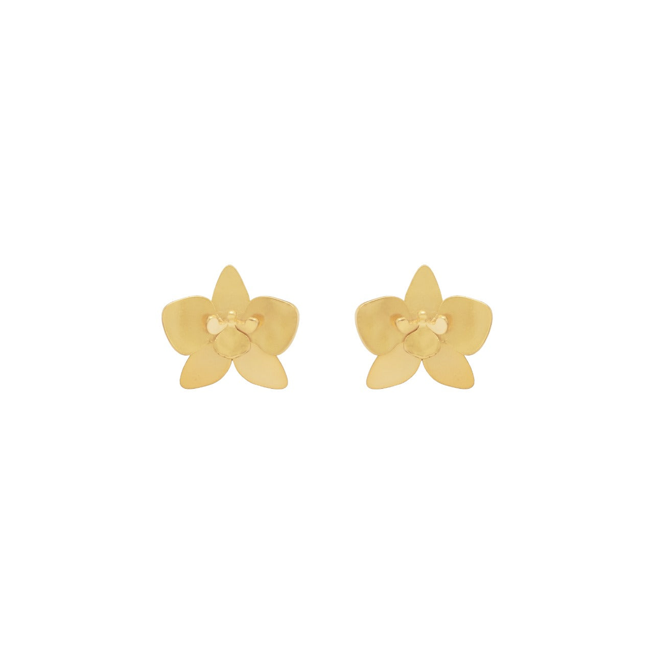 Aretes Quadricolor Mini