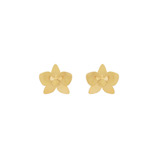 Aretes Quadricolor Mini
