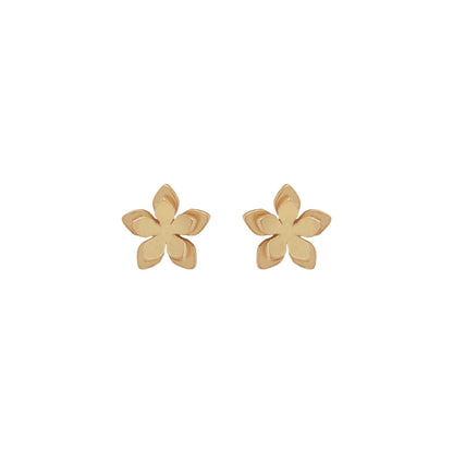 Aretes Mini Flor Guayacan