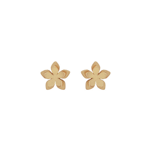 Aretes Mini Flor de Guayacan