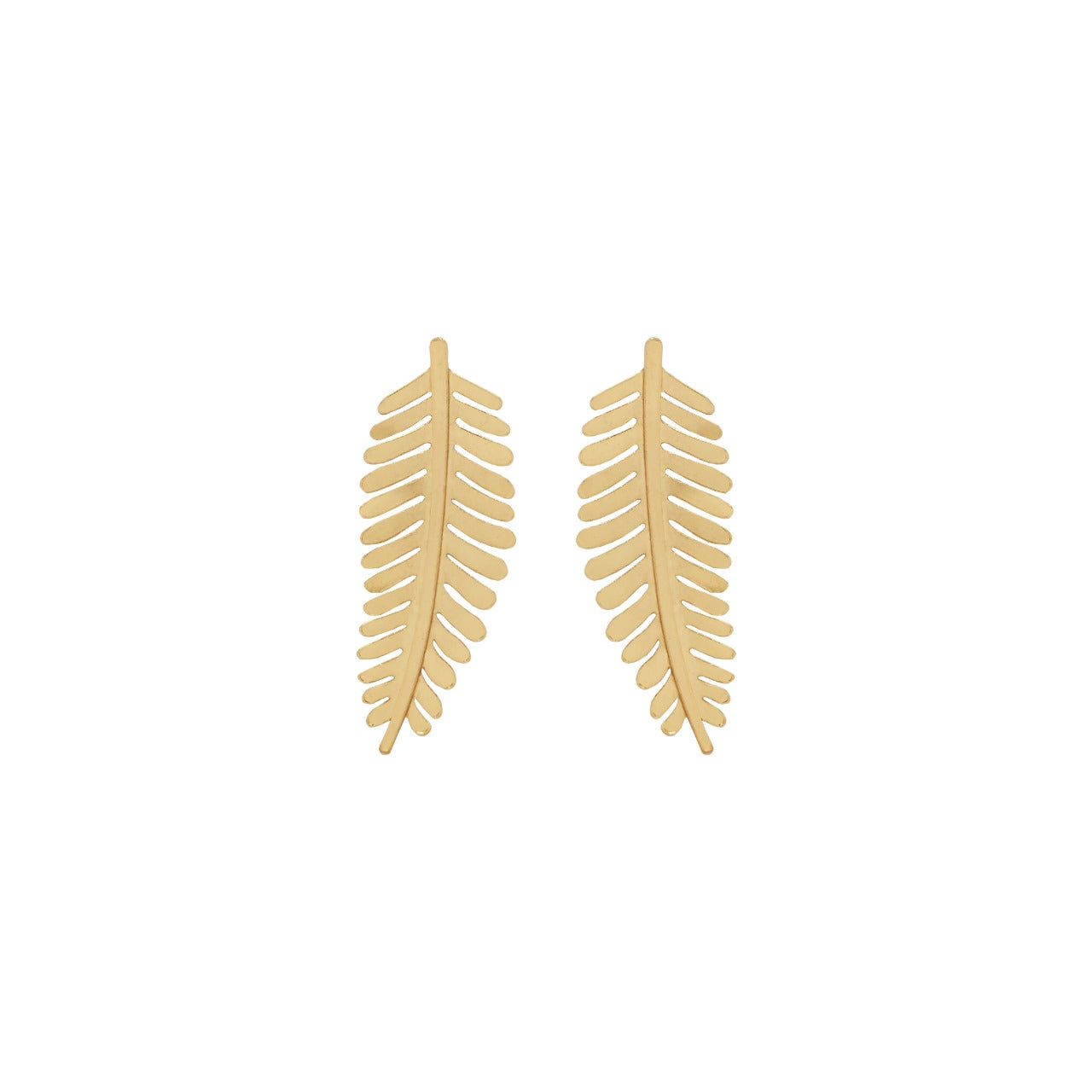 Aretes Helecho