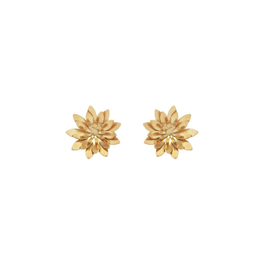 Aretes Loto