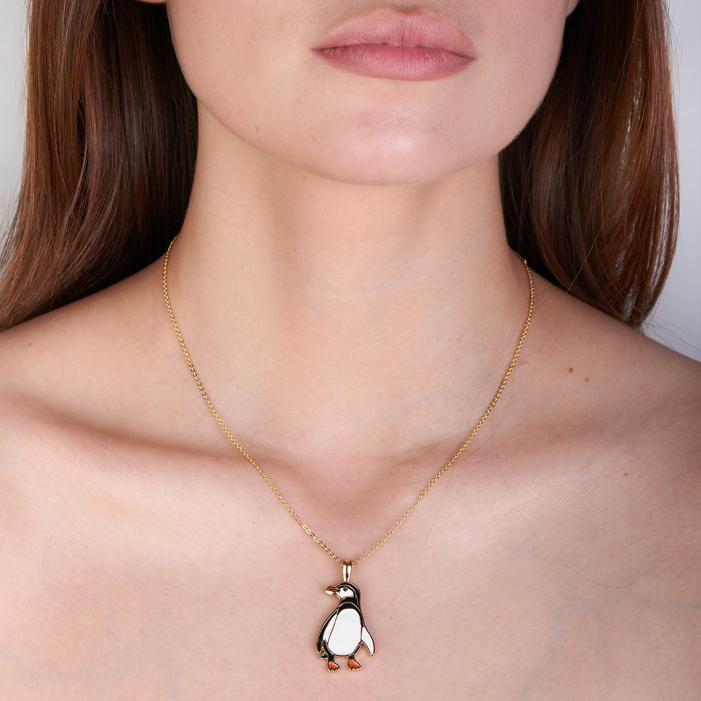 Collar LDG Pingüinos